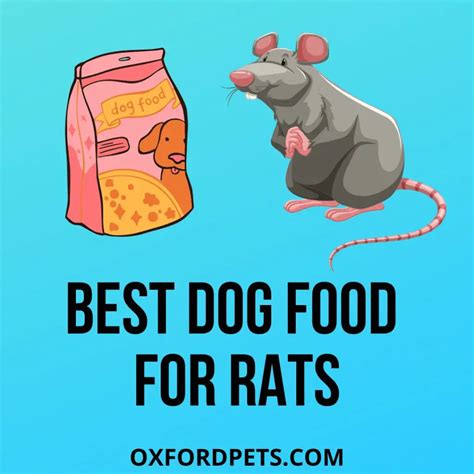 6 Best Dog Food For Rats 2024 Updated List Oxford Pets