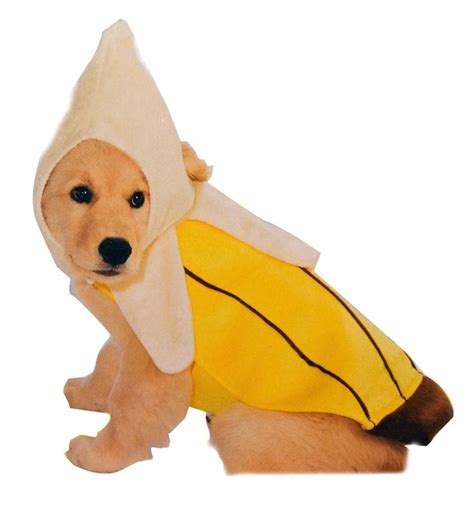 Banana Dog Costume 312026 Dog Costume Pet Costumes Pet Costumes