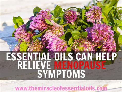 Essential Oils For Menopause How They Help Recipes The Miracle Of Essential Oils
