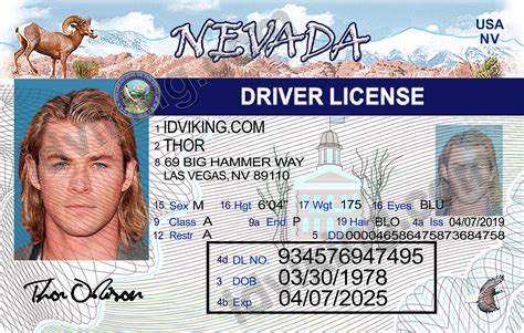 Editable Nevada Drivers License Template Ubicaciondepersonascdmxgobmx
