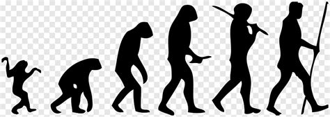 Human Evolution Homo Sapiens How Humans Evolved Bipedalism Science