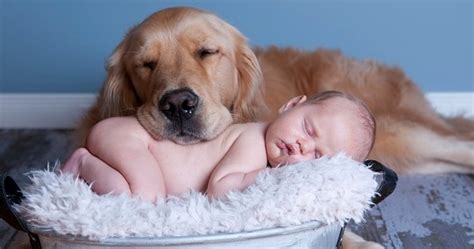 Baby And Dog Quotes Quotesgram