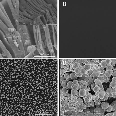 Sem Images Of Mxene A Gce B Au Gce C And Mip Mxene Au Gce D Download Scientific Diagram