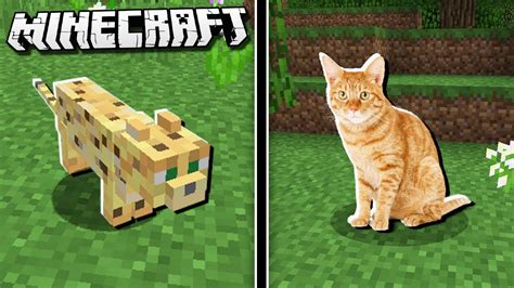If Cats Were More Realistic In Minecraft Youtube