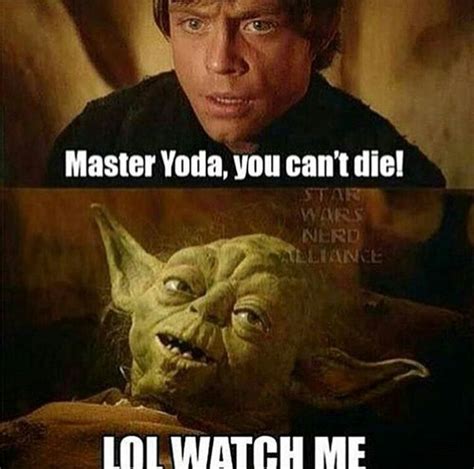 Which Luke Did Actually Lol Funny Star Wars Memes Star Wars Quotes