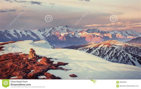 Magical Winter Snow Covered Tree Sunset In The Carpathians Stock Image