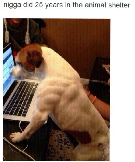 This Dog Is More Buff Than Me C Meme By Bladez Memedroid