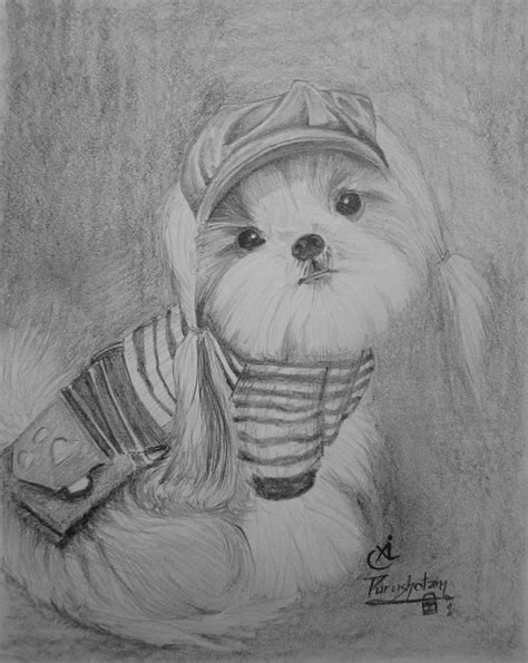 Pencil Sketch Of Cute Puppy Drawing By Purushotama Anil Kumar