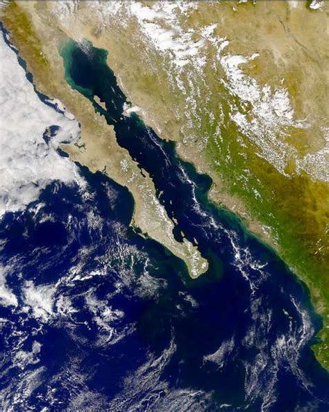 Nasa Visible Earth Seawifs Phytoplankton Bloom In The Gulf Of California
