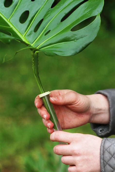 Read on to explore the flower arrangements that have left the guests speechless at the recently held wedding events. How To Make Your Own Stylish & Affordable Foliage 'Floral ...