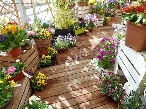 Non rinuncerai più a una casa piena di piante perché hai il pollice nero. Piante Sempreverdi Da Terrazzo In Pieno sole E Fiori Da ...