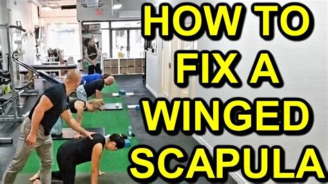 HOW TO CORRECT A WINGED SCAPULA The Serratus Anterior Exercise For Scapular Winging YouTube