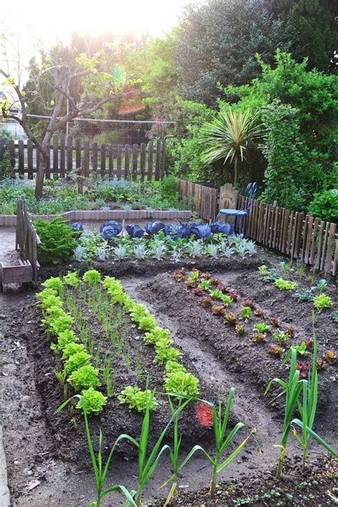 20 Fantastic Vegetable Garden Design Ideas You Should Try Garden Easy