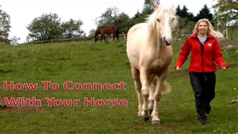 How To Connect With Your Horse Bonding Dancing With Horses