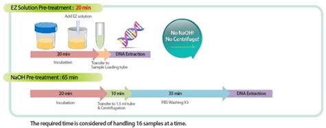 Accupower® Tb And Mdr Real Time Pcr Kit