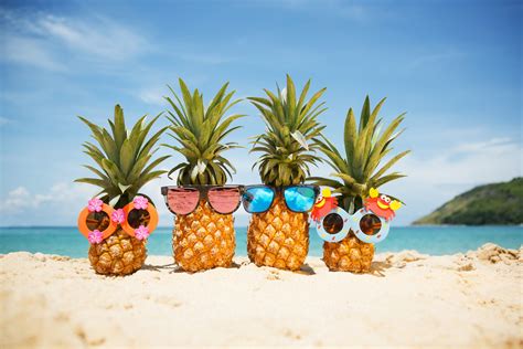 A Group Of Pineapples With Some Cool Shades