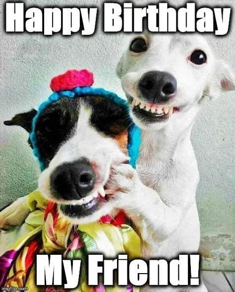Happy Birthday Wishes For A Friend Funny Happy Birthday Images