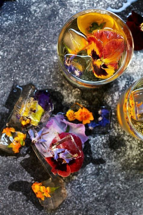Flowers can be poisonous, so be careful. 77 best Edible flowers for drinks and Cocktails. images on ...