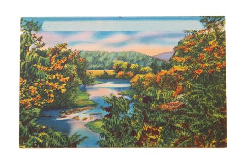 Vintage Catskills Ny Postcard Landscape Scene With Lake And Mountain
