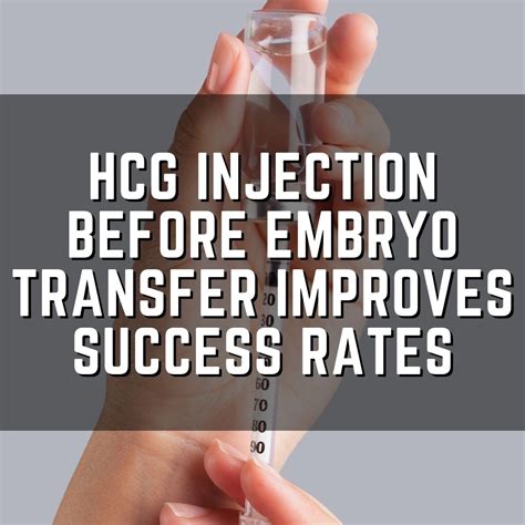 Hcg Injection Before Embryo Transfer Improves Success Rates Remembryo