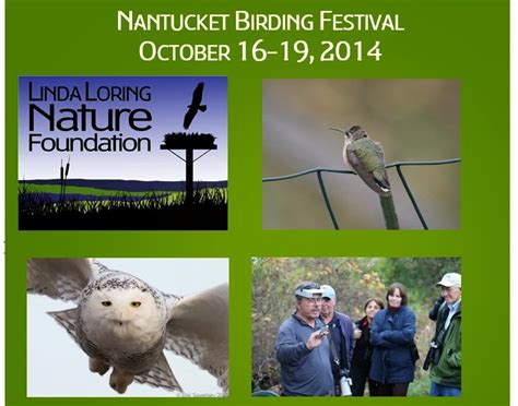 Newburyport Birders Nantucket Birding Festival