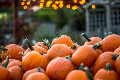 24 Top Fall And Harvest Festivals In The Us