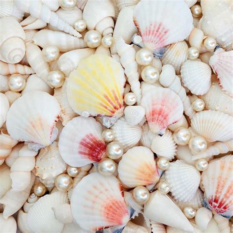 Abstract Seashell And Pearl Background Stock Photo Image Of Poster