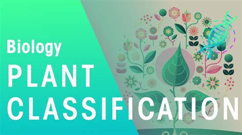 Plant Classification Evolution Biology Fuseschool Youtube
