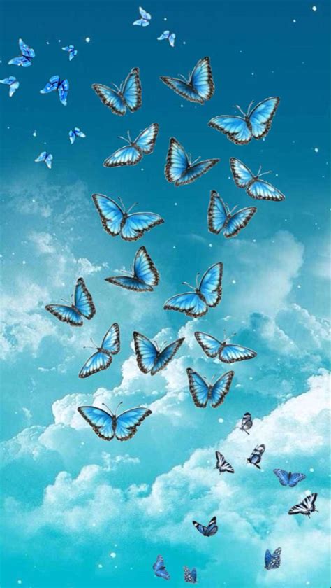 Aesthetic Blue Butterfly Wallpaper