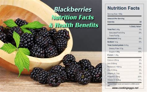 blackberries nutrition facts and health benefits cookingeggs