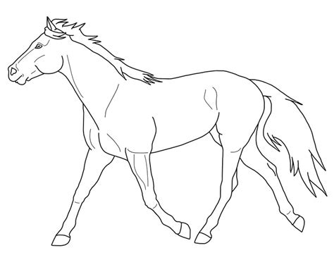 Of kijk je misschien naar de tekenfilm spirit samen vrij (spirit riding. Kleurplaat - Paarden13