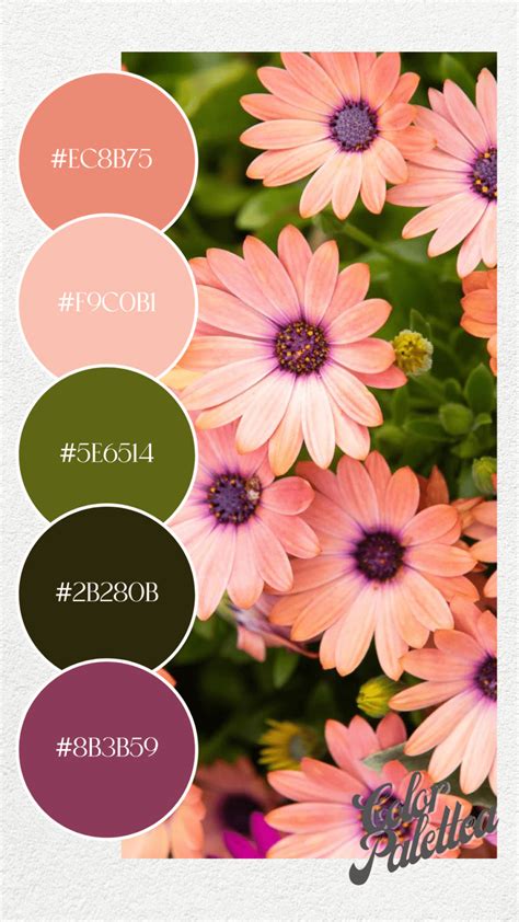 Hex Color Palette Spring Color Palette Color Schemes Colour Palettes Color Palate Spring