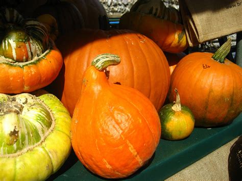 Summer squash is harvested much earlier than winter squash, giving it a soft and. 10 Very Unique Varieties of Winter Squash | Delishably