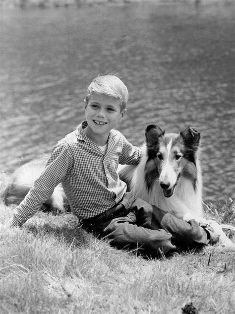 Timmy And Lassie 1961 Categorylassie 1954 Tv Series Wikimedia