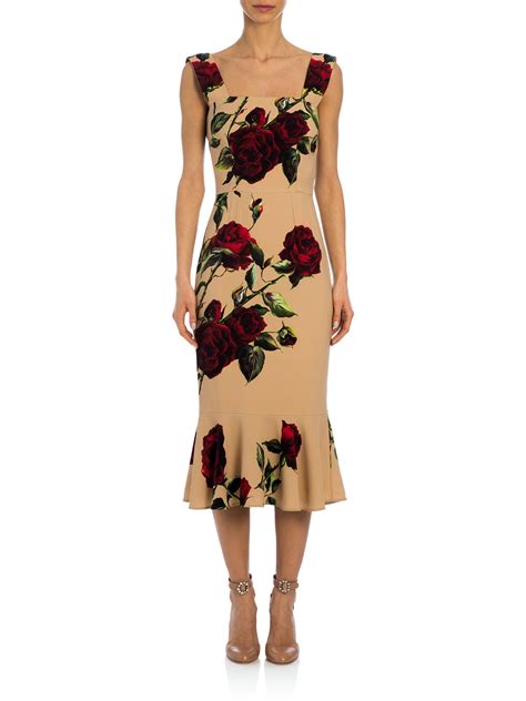 Lyst Dolce And Gabbana Rose Print Cady Midi Dress In Pink