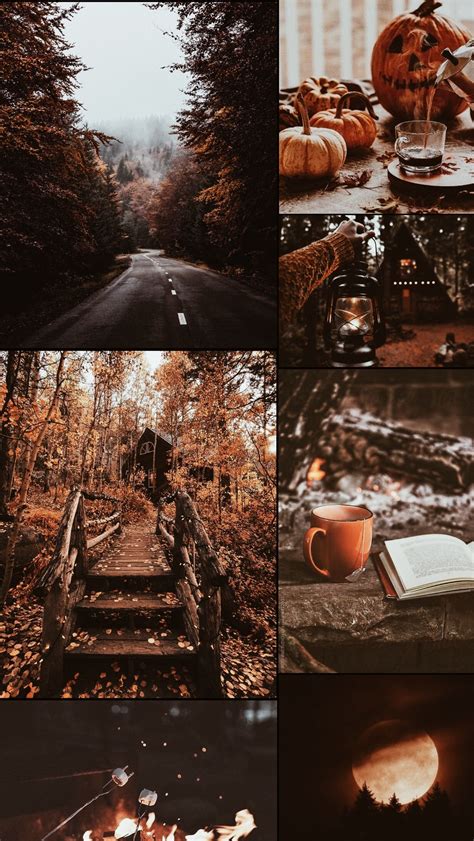 Missing Autumn So I Made A Moodboard Pics All From Pinterest