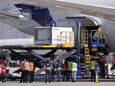 La eficacia de esta inyección ha sido cifrada de diversas formas por los. Chile recibe primer gran cargamento de vacuna china ...