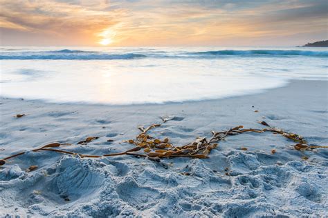 Or enjoy a round of golf on the nearby pebble beach thank you for taking the time to complete our online survey regarding your recent stay at our comfort inn carmel by the sea! Sunset, Carmel-by-the-Sea, California | Stanton Champion
