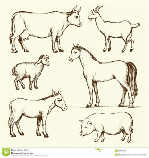 Cute domestic pets watercolor illustration. Farm Animals. Vector Drawing Stock Vector - Image: 65284003
