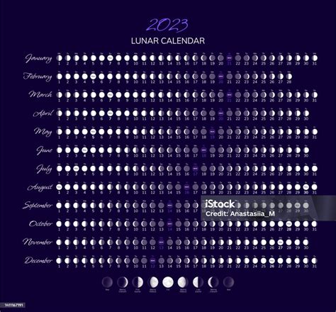 Vetores De Calendário Lunar De 2023 Com Fases Lunares E Ciclos E Mais