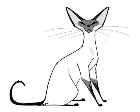 658 Siamese Cat Cat Drawing Siamese Cats Cats