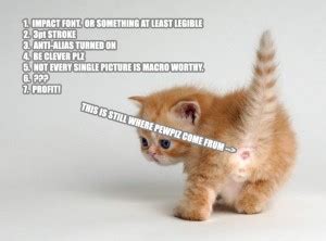Maybe you would like to learn more about one of these? Super Funny Cat Quotes. QuotesGram