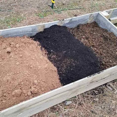 You Can Build The Best Soil For Growing Organics In A Raised Bed By
