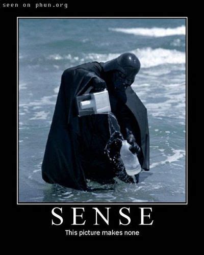 Sense This Picture Makes None Funny Pictures Darth Vader Demotivational Posters