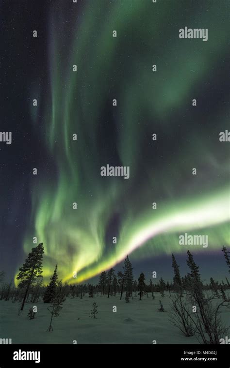 Northern Lights Aurora Borealis Lapland Sweden Stock Photo Alamy