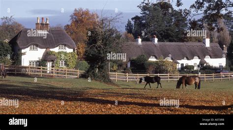 Thatched Cottages In New Forest National Park Landscape At Swan Green