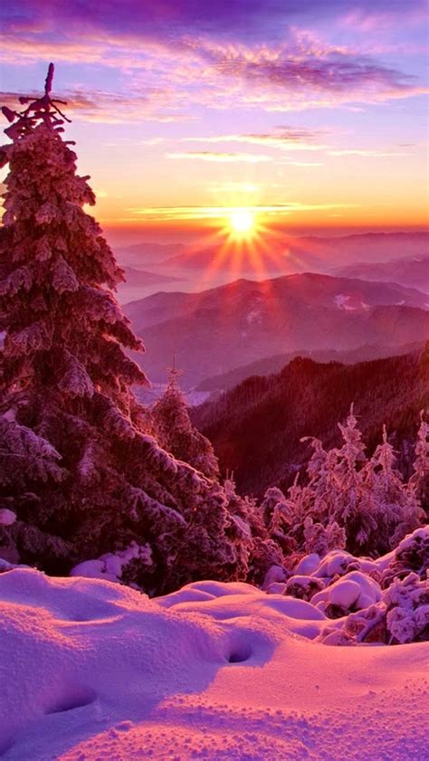 Wallpaper Winter Sky Sunset Mountains Forest Trees