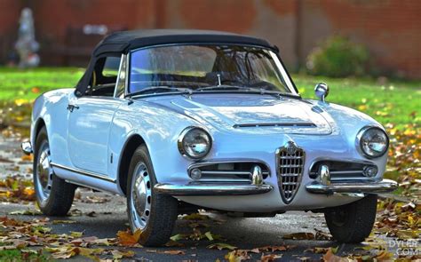 Classic 1966 Alfa Romeo Giulia Spider Convertible For Sale 9901 Dyler