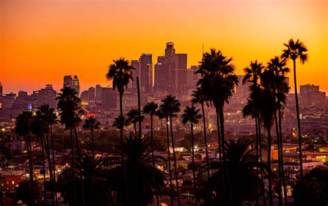 Wallpaper City Palm Trees Sunset Building Skyscraper Los Angeles Landscape Orange Sky