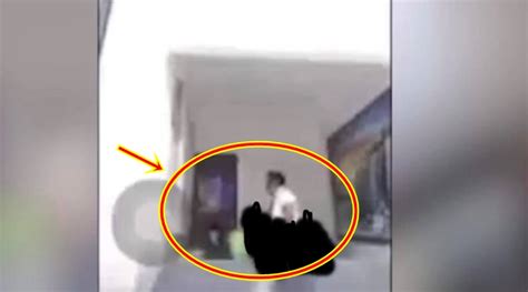 Cavite Barangay Officials Caught Doing Private Moment During Zoom Meeting